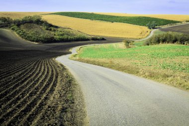 South Moravian alanları. 