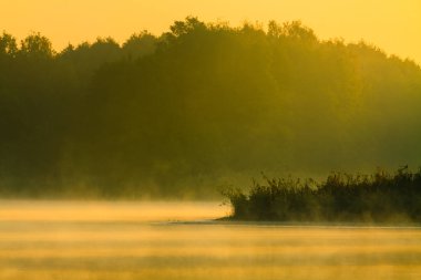 Sabah sis göl üzerinde.