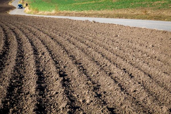 Campi della Moravia meridionale . — Foto Stock