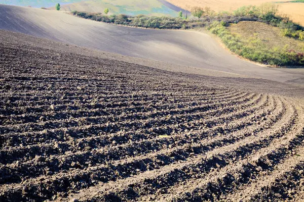 South Moravian Fields. — Stock Photo, Image