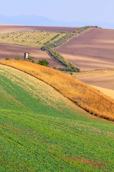 Campos de Moravia del Sur . —  Fotos de Stock