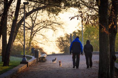 Arkadaş köpeklerle yürümek çift