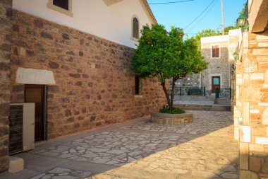 Taş duvar arasında büyüyen portakal ağacı 