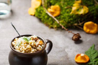 (Sarı mantar Cantharellus cibarius) 