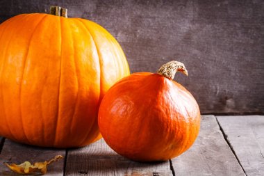 Kabak sonbahar sahne