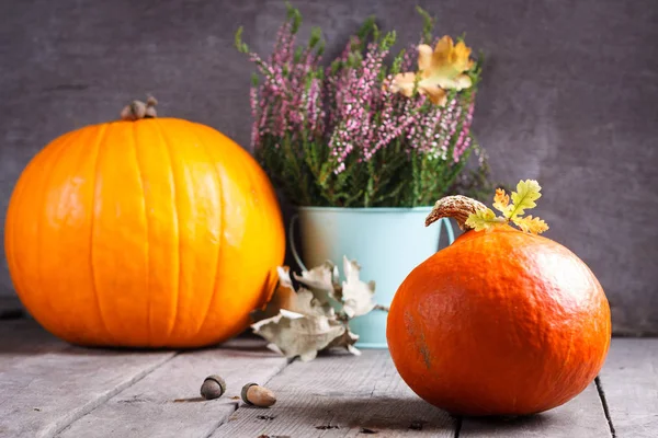 Scena autunnale con zucca — Foto Stock