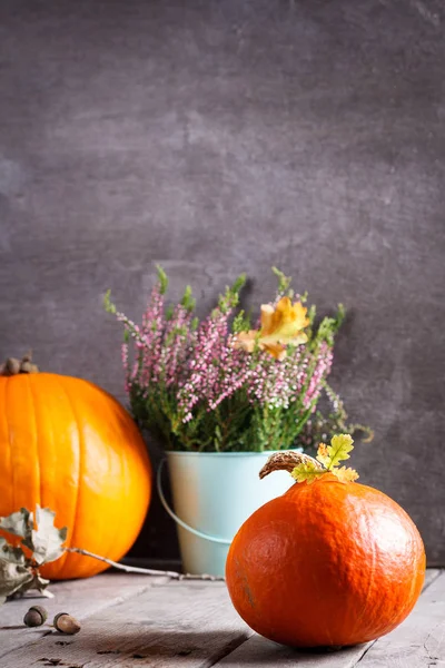 Cena de outono com abóbora — Fotografia de Stock