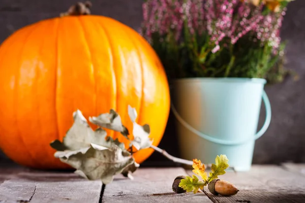 Cena de outono com abóbora, urze, bolota de carvalho e folhas — Fotografia de Stock
