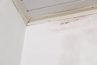 Duvarındaki ıslak leke.