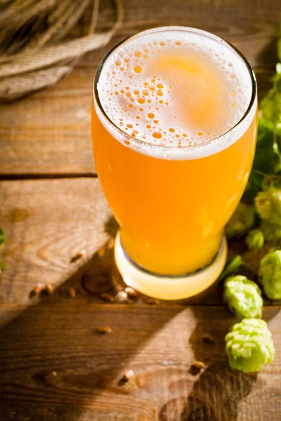Bir bardak bira — Stok fotoğraf