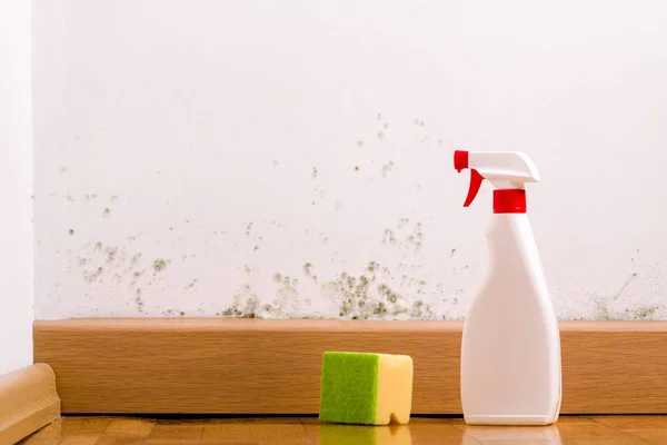 Probleem met schimmel en natte vlekken thuis. — Stockfoto