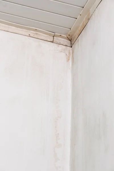 Problema com o molde e manchas molhadas em casa . — Fotografia de Stock