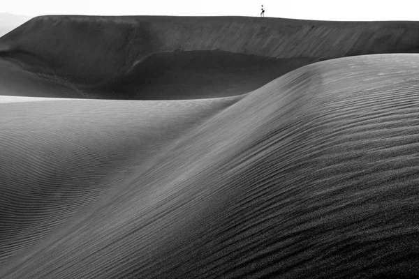 Photographe Solitaire Sur Les Dunes Maspalomas Île Gran Canaria — Photo