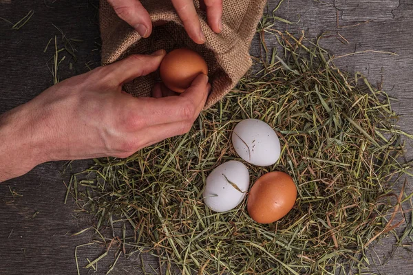 Tangan Pria Itu Adalah Mengangkat Telur Dari Sarang Jerami — Stok Foto