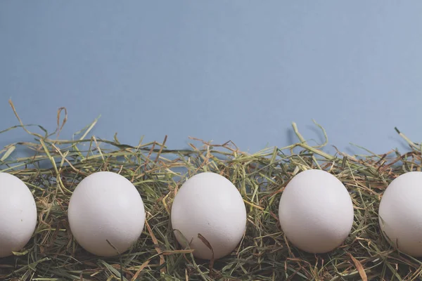 Telur Putih Tergeletak Atas Jerami Dengan Kertas Warna Untuk Teks — Stok Foto