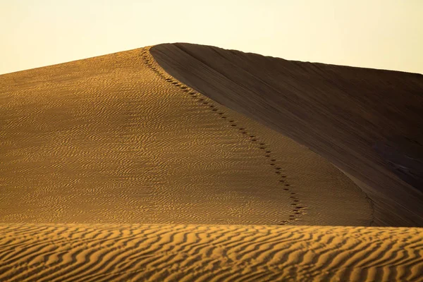 Lábnyomok Gran Canaria Maspalomas Dűnék — Stock Fotó