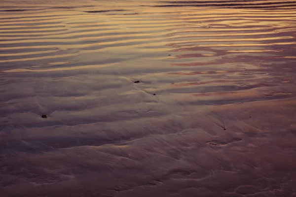 Empreinte Unique Sur Sable Humide Ondulé Bord Mer — Photo