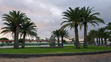 Palmiye ağaçları Gran Canaria şehir içinde Bahçe kare.