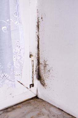 Pencere yakın köşe duvar kalıp.