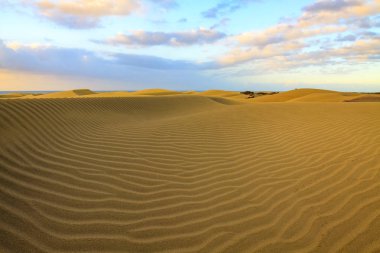 Sakinleştirmek ve yumuşak kum tepeleri Maspalomas içinde Gran Canaria.
