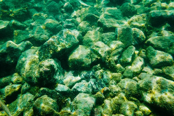 Tom Verde Azul Fundo Rochoso Subaquático — Fotografia de Stock