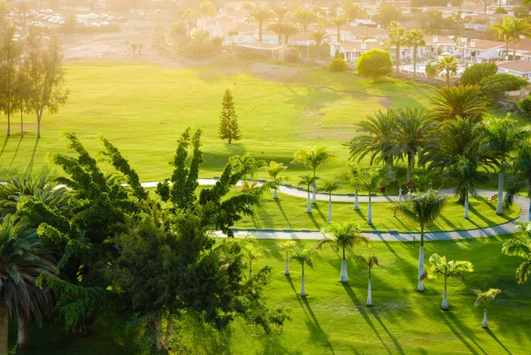 绿色高尔夫球场上的棕榈树观 — 图库照片