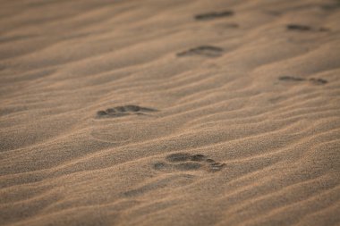 Küçük çocukların ayak sakinleştirmek kum üzerinde.