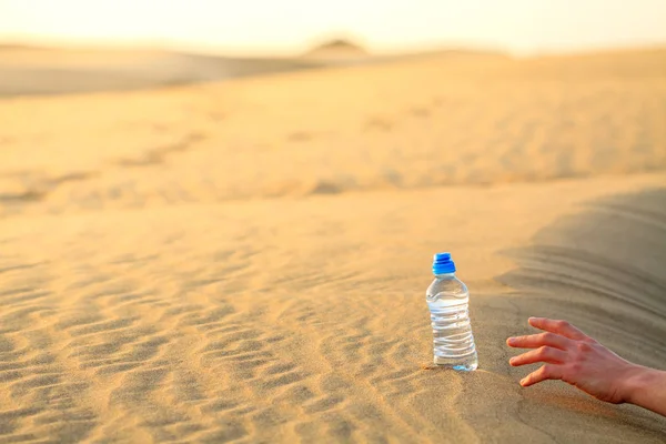 手试着在炎热的温度下在沙漠上捕捉一瓶水 渴死的概念 — 图库照片