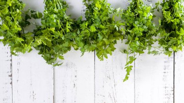 Maydanoz bir beyaz eski tahta duvarda asılı demet.