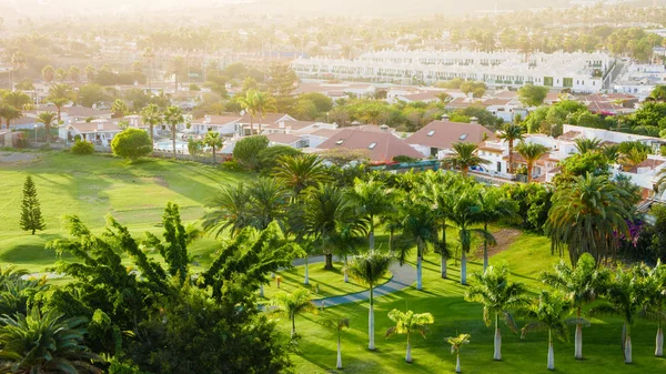 Sappige Groen Van Golfbaan Tijdens Zonsondergang Met Heerlijke Zonnestralen — Stockfoto