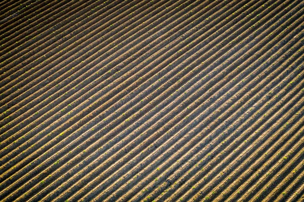 Nature Background Furrows Field — Stock Photo, Image