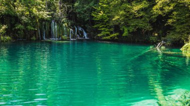 Hırvatistan 'ın Plitvice Gölleri manzarasında çağlayanlar ve şelaleler.