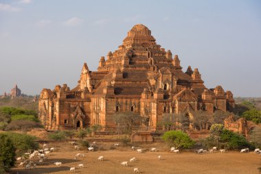 Dhammayangyi Tapınağı en büyük tapınağın Bagan, Myanmar