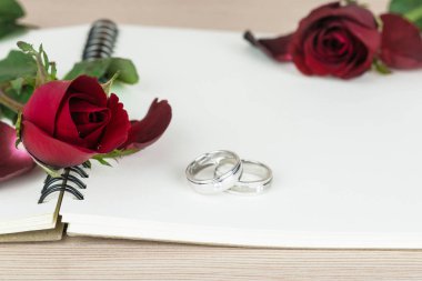 Romantik kırmızı gül ve yüzük Sevgililer günü için 