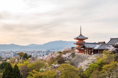 Kiyomizu dera Tapınağı bahar