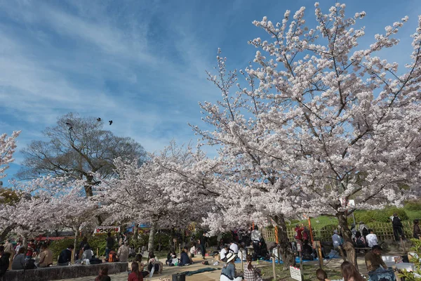 Kyoto, Japonya - 5 Nisan 2016: Bölümü tarafından bahar mevsimi insanlar zevk almak — Stok fotoğraf