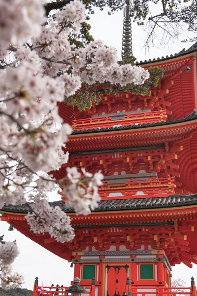 Templo de dera de Kiyomizu e estação de flor de cereja (Sakura) em sprin — Fotografia de Stock