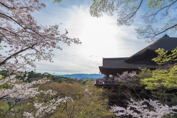 Kiyomizu dera templo y la temporada de flores de cerezo (Sakura) en sprin — Foto de Stock