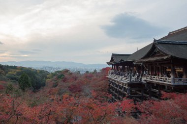 Kiyomizu dera Tapınağı Güz