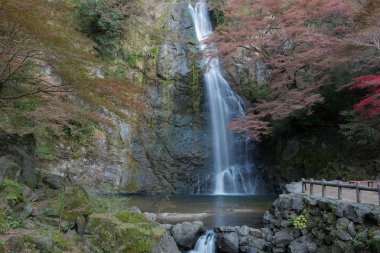 Minoo şelale Güz, Osaka, Japonya