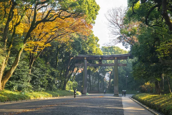 Meiji jingu shrine Güz, Tokyo Japonya girişinde.