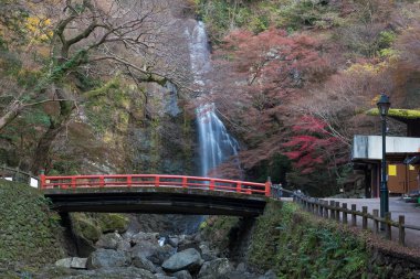 Minoo şelale Güz, Osaka, Japonya