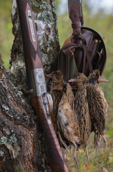 Gewehr mit zwei Läufen und Produktion des Jägers. — Stockfoto