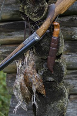 Double-barrel tüfek ve av trophy.
