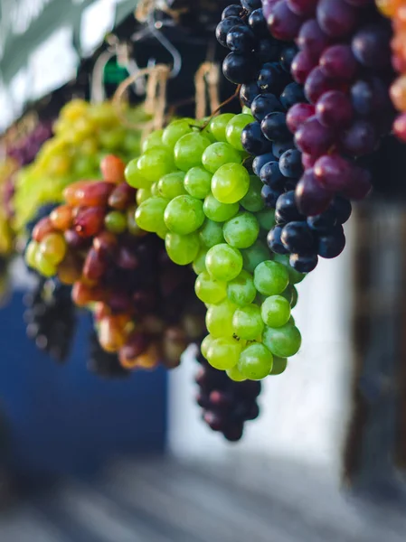 Different Varieties Grapes Green Blue Pink Grape Festival — Stock Photo, Image
