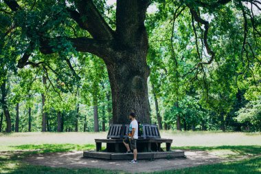 Genç bir adam parkta yürüyor. Uzun bir ağacın yanında tişörtlü yakışıklı bir adam. Parktaki ahşap bankın yanındaki adam.