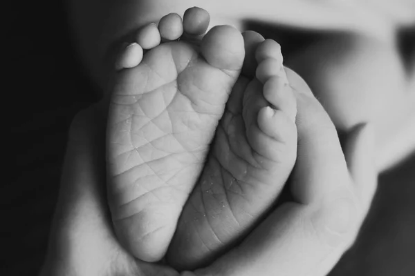 Baby Newborn Feet in Mother Hands. — Stock Photo, Image