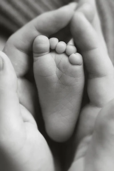 Baby Pasgeboren voeten in handen van de moeder. — Stockfoto