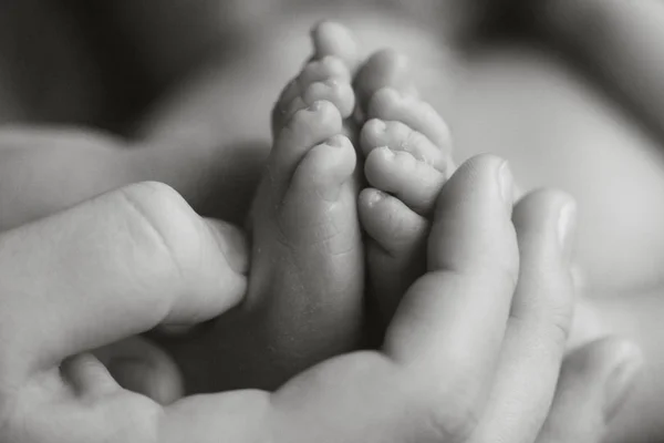 Baby Newborn Feet in Mother Hands. — Stock Photo, Image