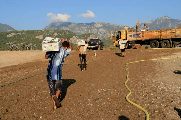 ⬇ Скачать картинки Грузчиков, стоковые фото Грузчиков в хорошем ...